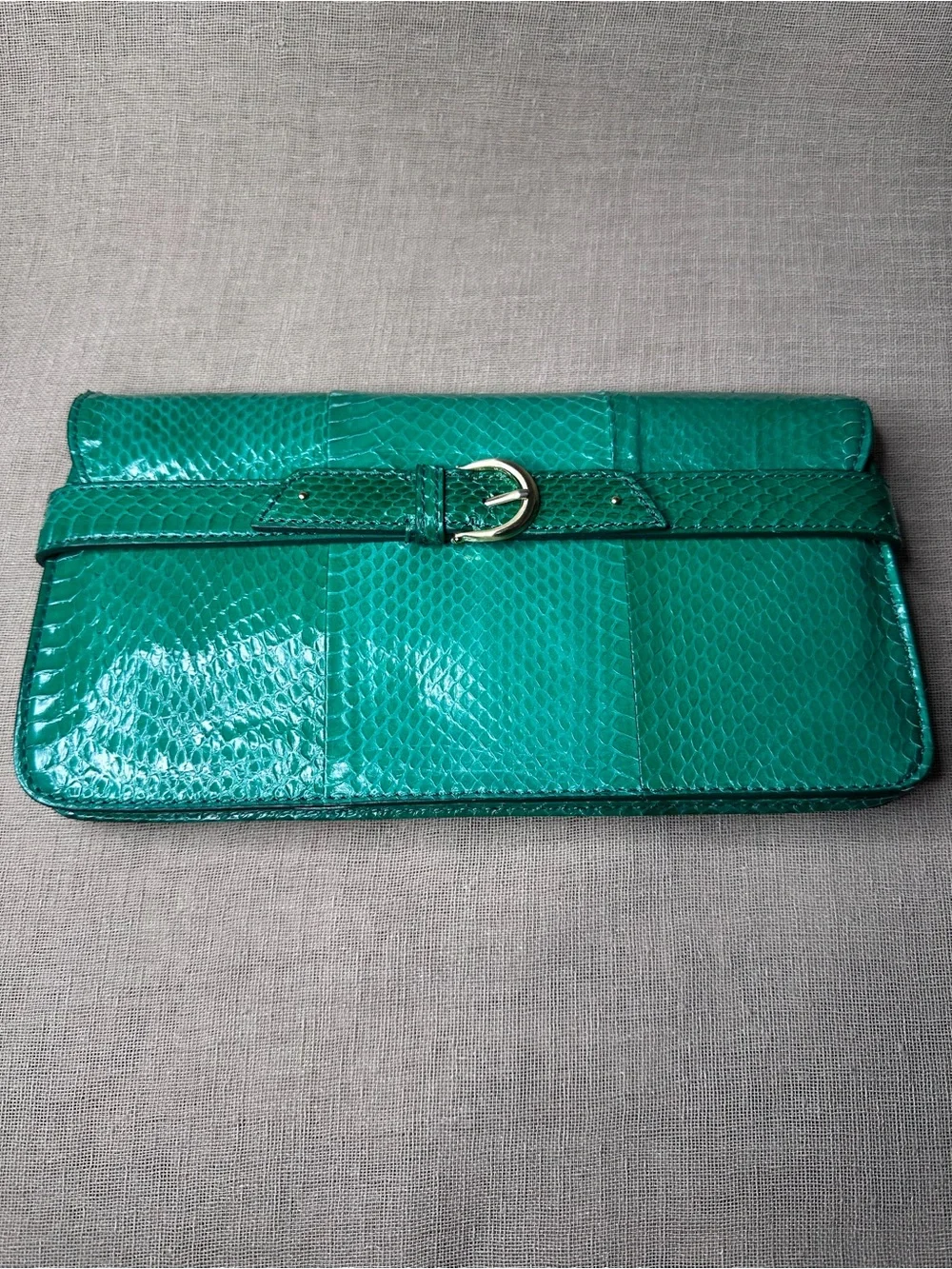Cole Haan Green Keaton Snake Clutch RESCUE